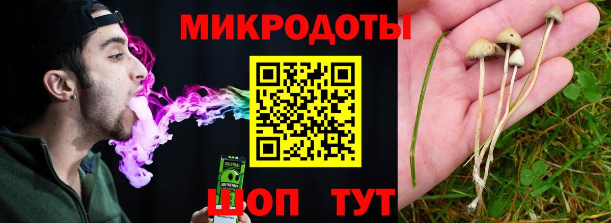 Псилоцибиновые грибы Psilocybe  Галлюциногенные грибы мухоморы  Черногорск  Вход с VPN 